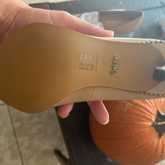 Coach new only tried on lovely beautiful - Picture 1 of 5